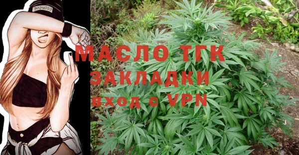 индика Слюдянка