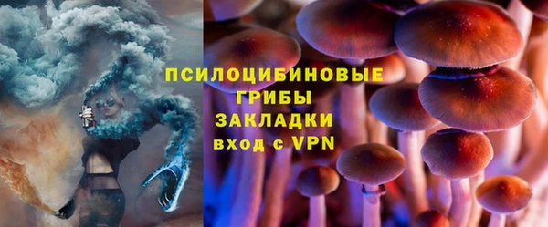 МДПВ Белокуриха
