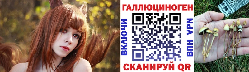 Галлюциногенные грибы GOLDEN TEACHER  Кропоткин 